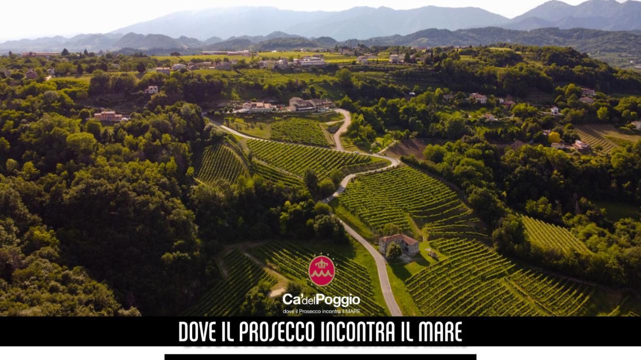Villa Del Poggio Prosecco Bike Hotel San Pietro Di Feletto المظهر الخارجي الصورة