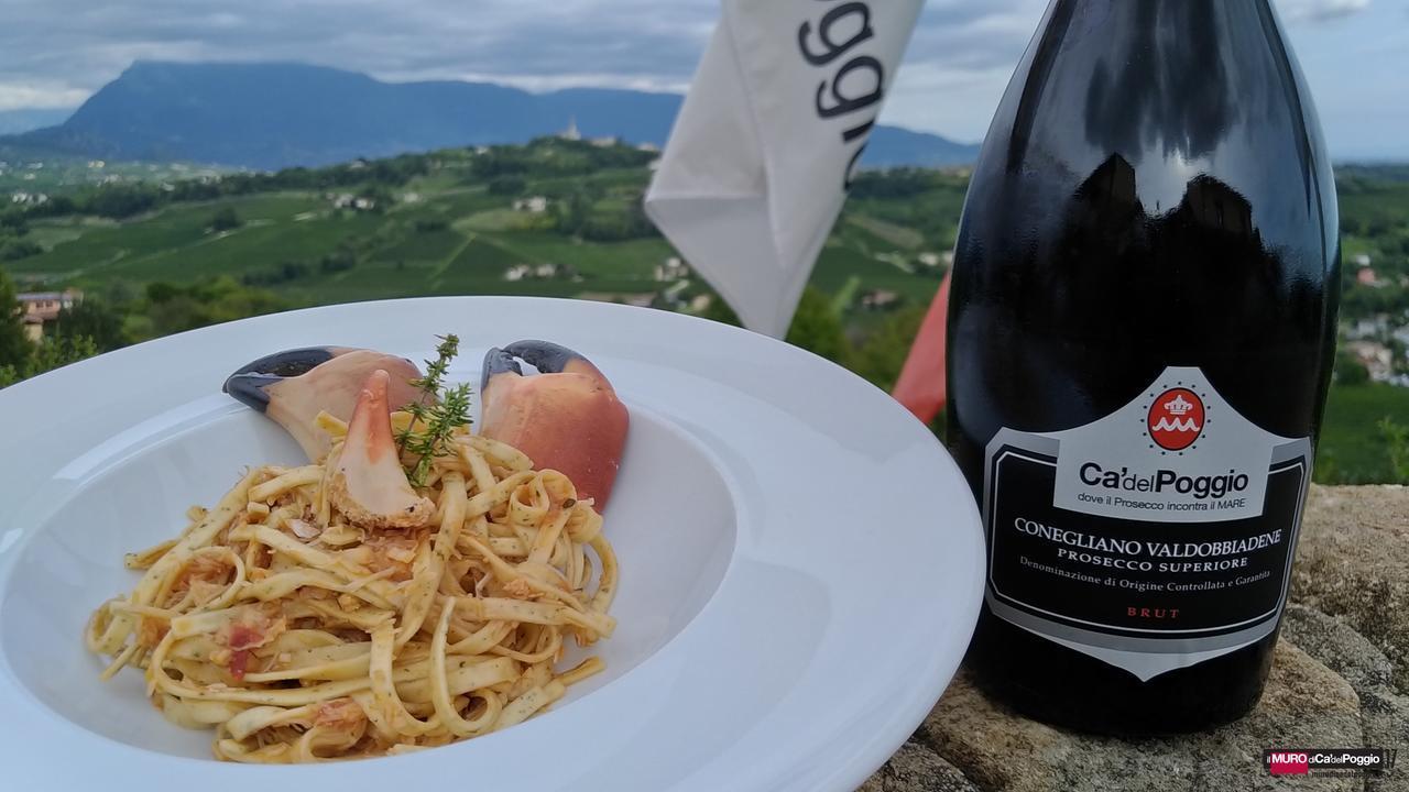 Villa Del Poggio Prosecco Bike Hotel San Pietro Di Feletto المظهر الخارجي الصورة