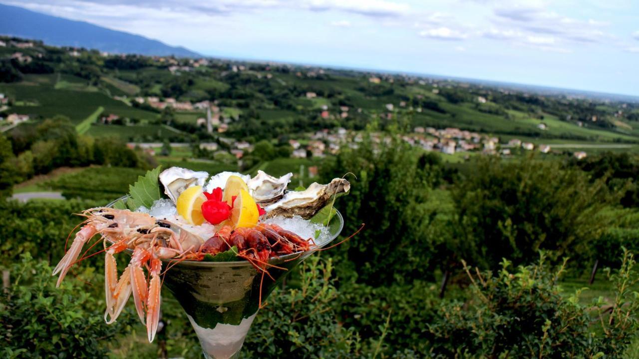 Villa Del Poggio Prosecco Bike Hotel San Pietro Di Feletto المظهر الخارجي الصورة